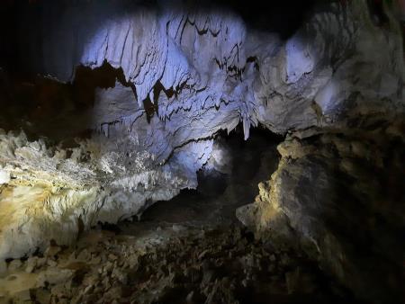 334508019_221777866975227_7787236139125245569_n